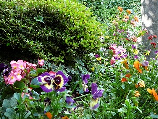 はぐら茶屋周囲30m以内の写真です。リロードで画像が切り替わります。