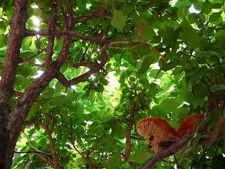 はぐら茶屋周囲30m以内の写真です。リロードで画像が切り替わります。