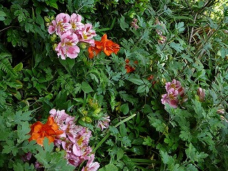 はぐら茶屋周囲30m以内の写真です。リロードで画像が切り替わります。